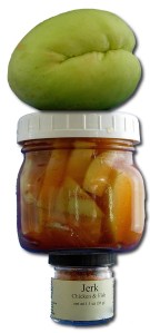 Chayote-Jerk Speed Pickle