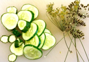 Dill Pickle Tonic