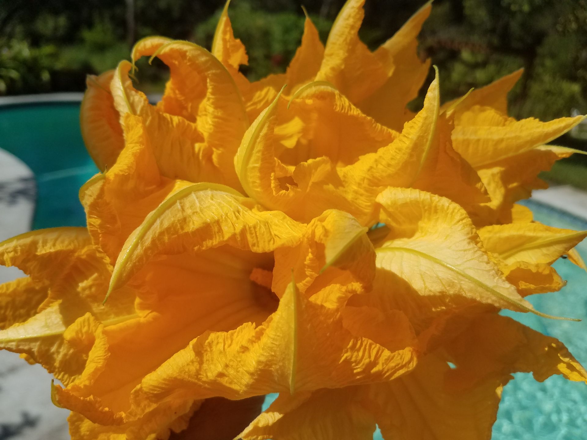 Resized_20180723_101810_4818