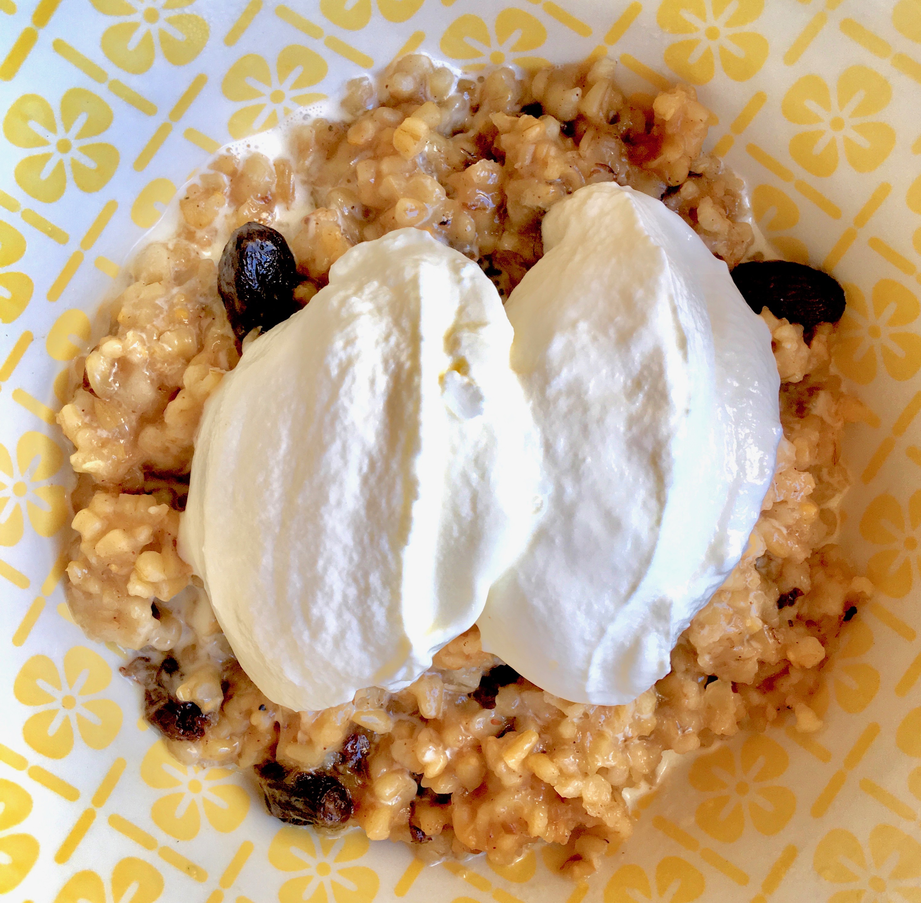 Steel Cut Oat Breakfast with Yogurt