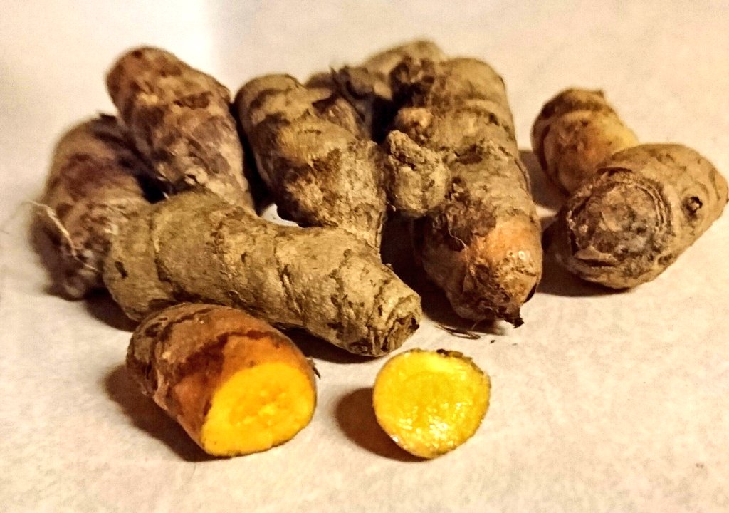 Turmeric_rhizomes